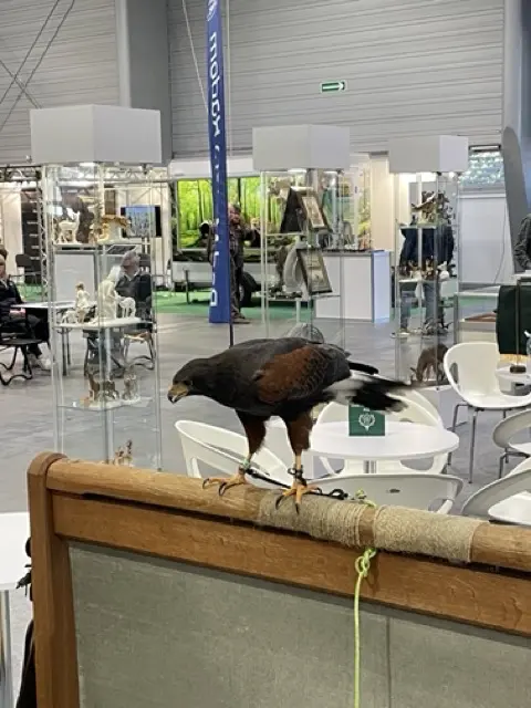 Euro Target Show 2026 10